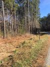 1413 Progress Drive photo